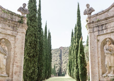 Cypress alley in the gardens