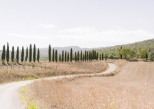Landscape of the Tuscan hills