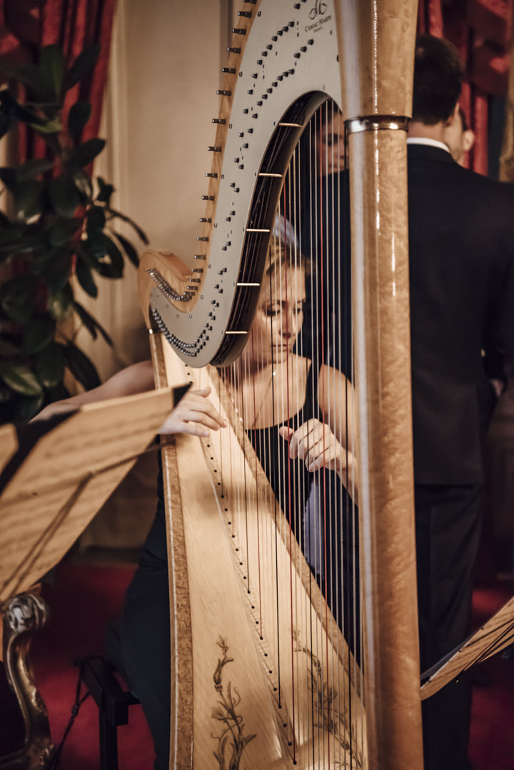Harpist for civil wedding ceremony