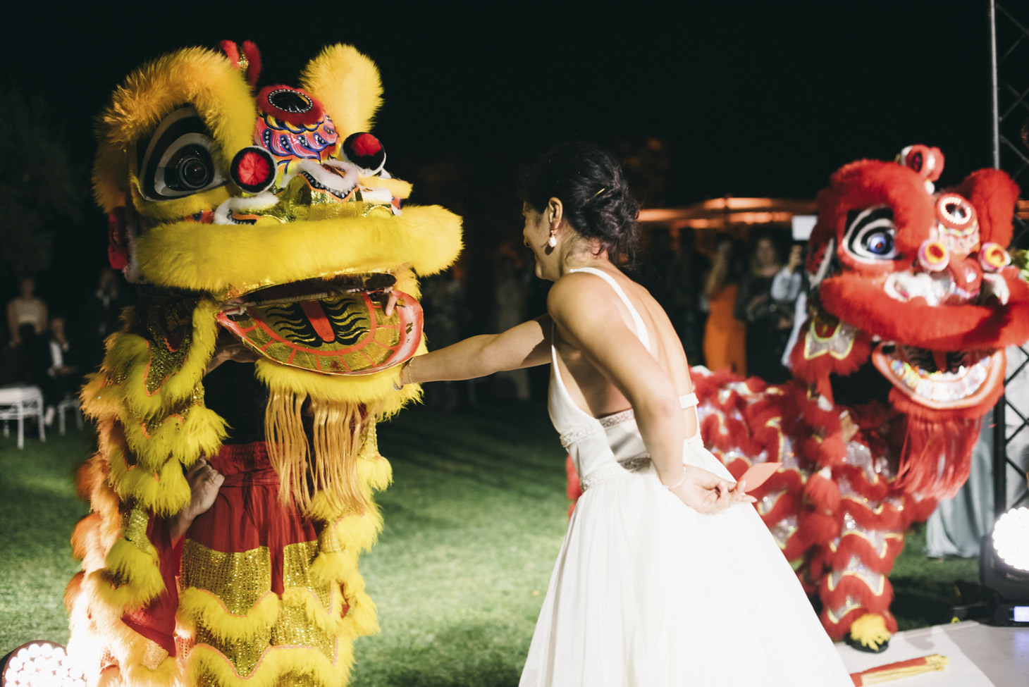 Chinese lions for wedding party