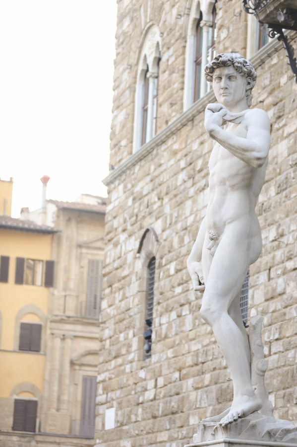 David di Mechelangelo, Florence