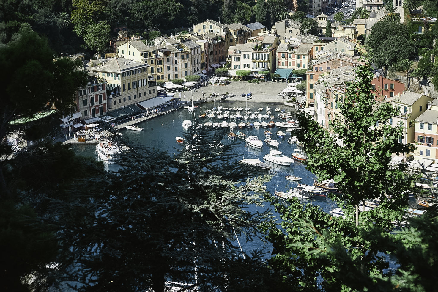 View of Portofino from Castello Brown