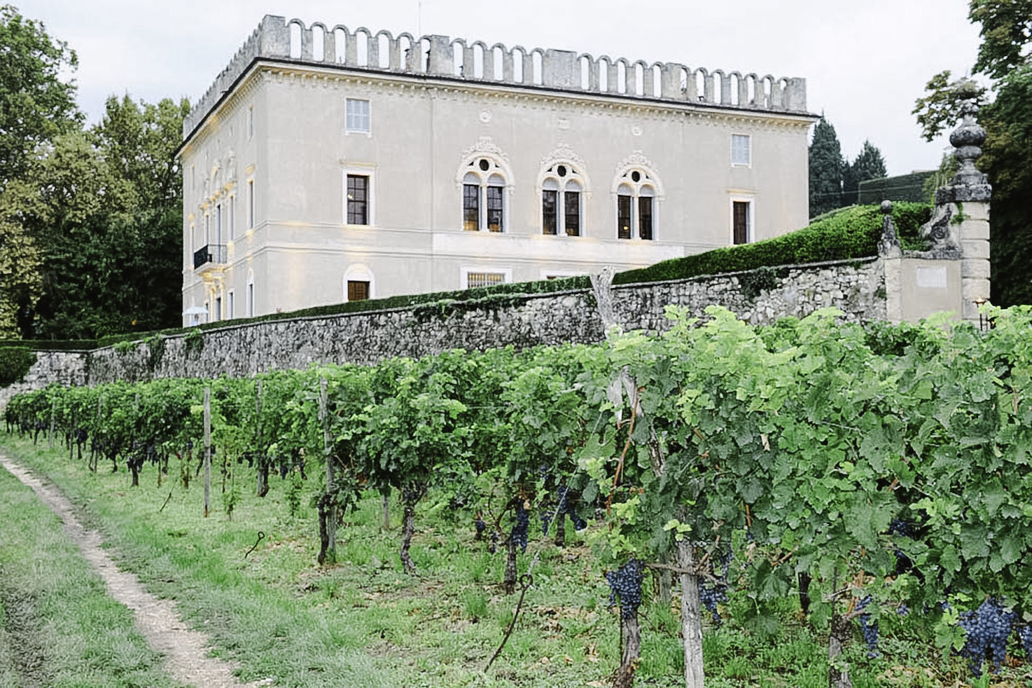 Villa Rizzardi surrounded by vineyards