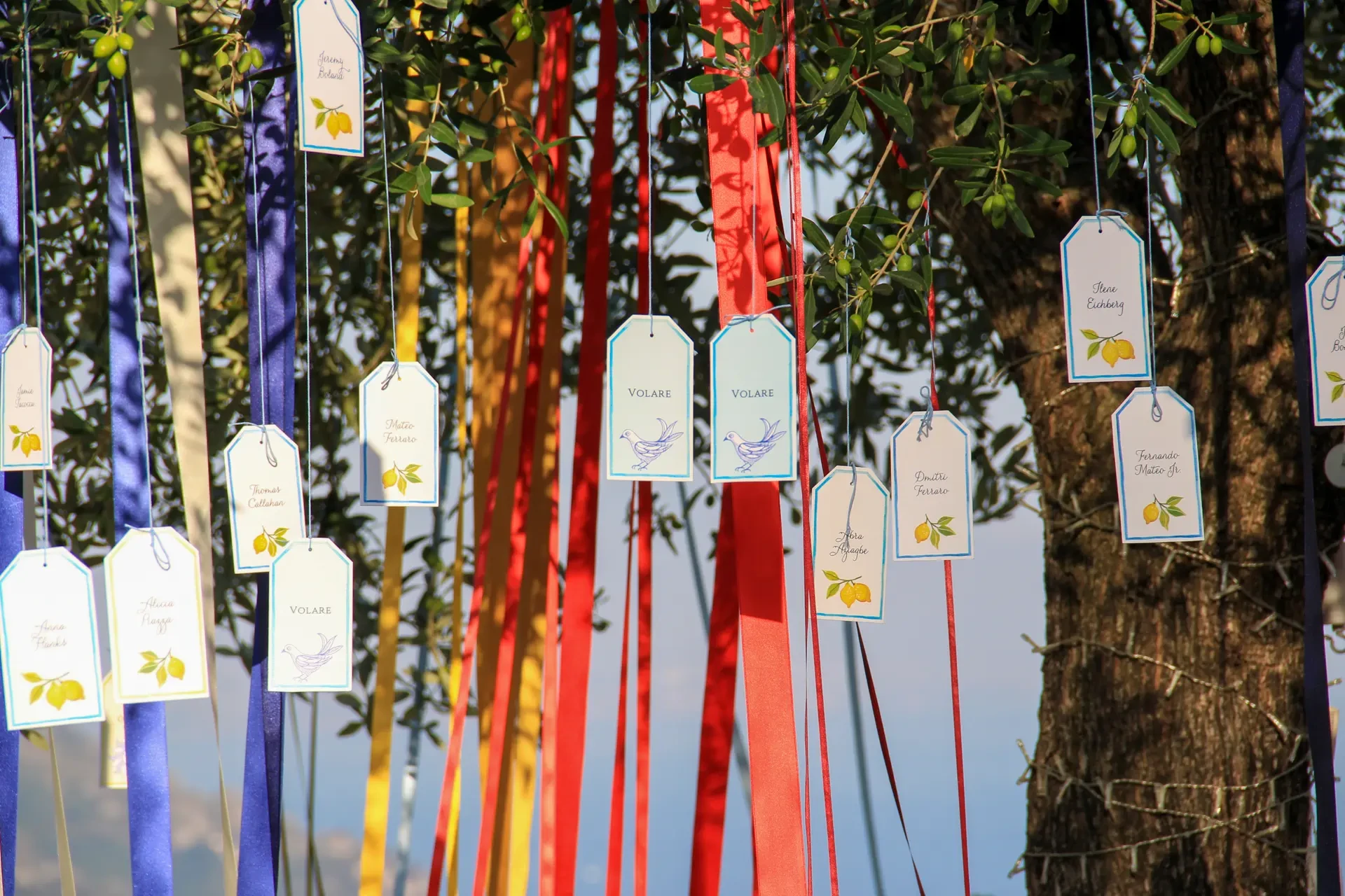 Place cards hanging from the branches of a tree