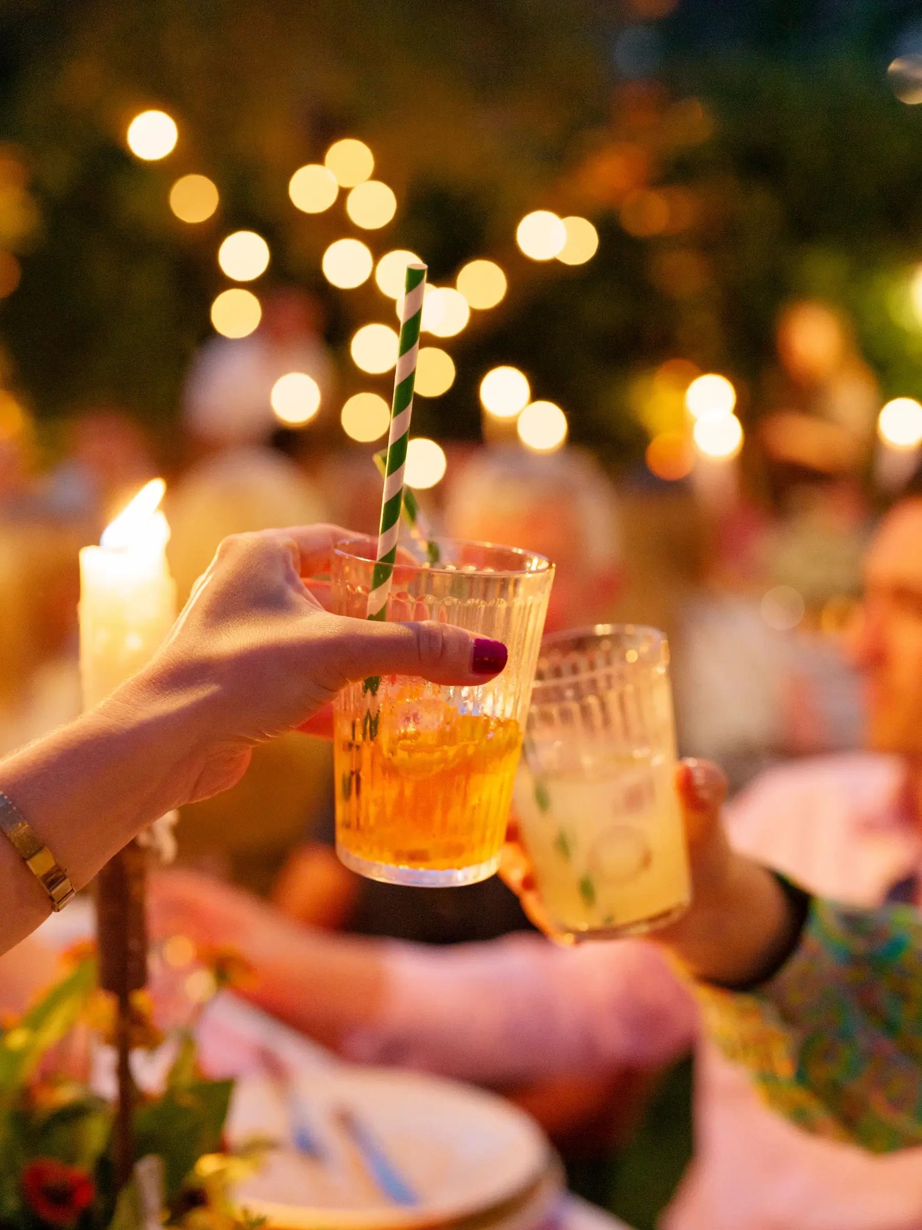 welcome dinner celebration toast