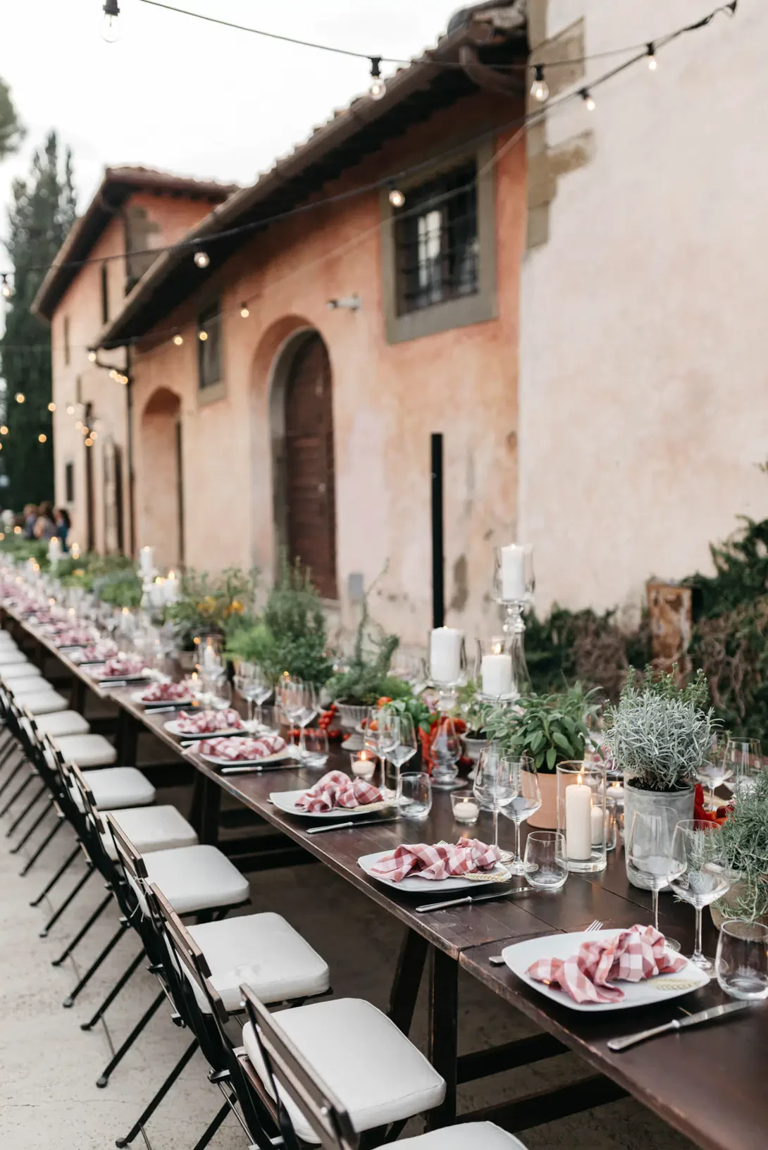 Long table with herbs and tomatoes