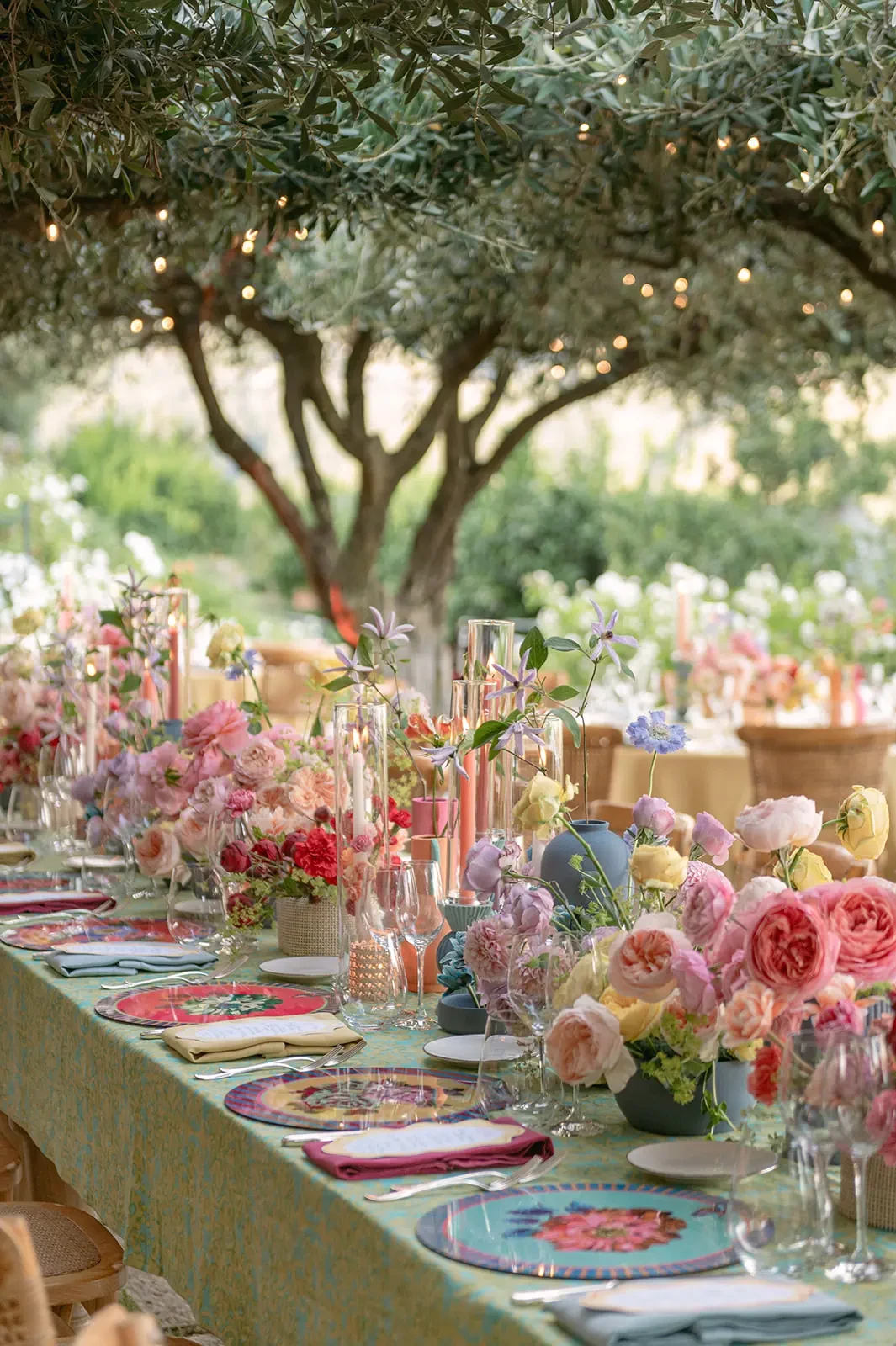 Long table under the olive threes
