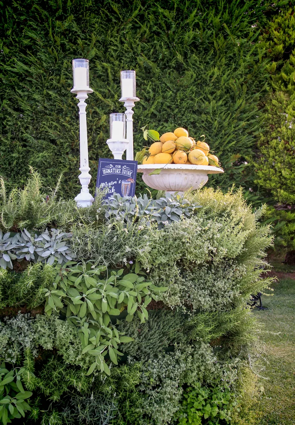 Decoration with herbs and lemons