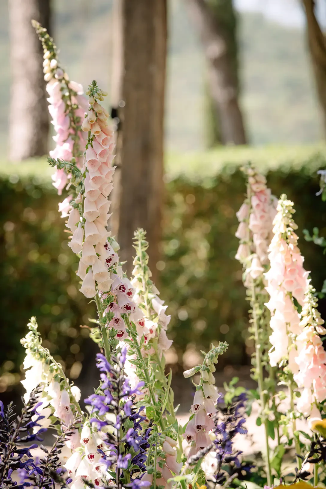 Wedding Flower decorations