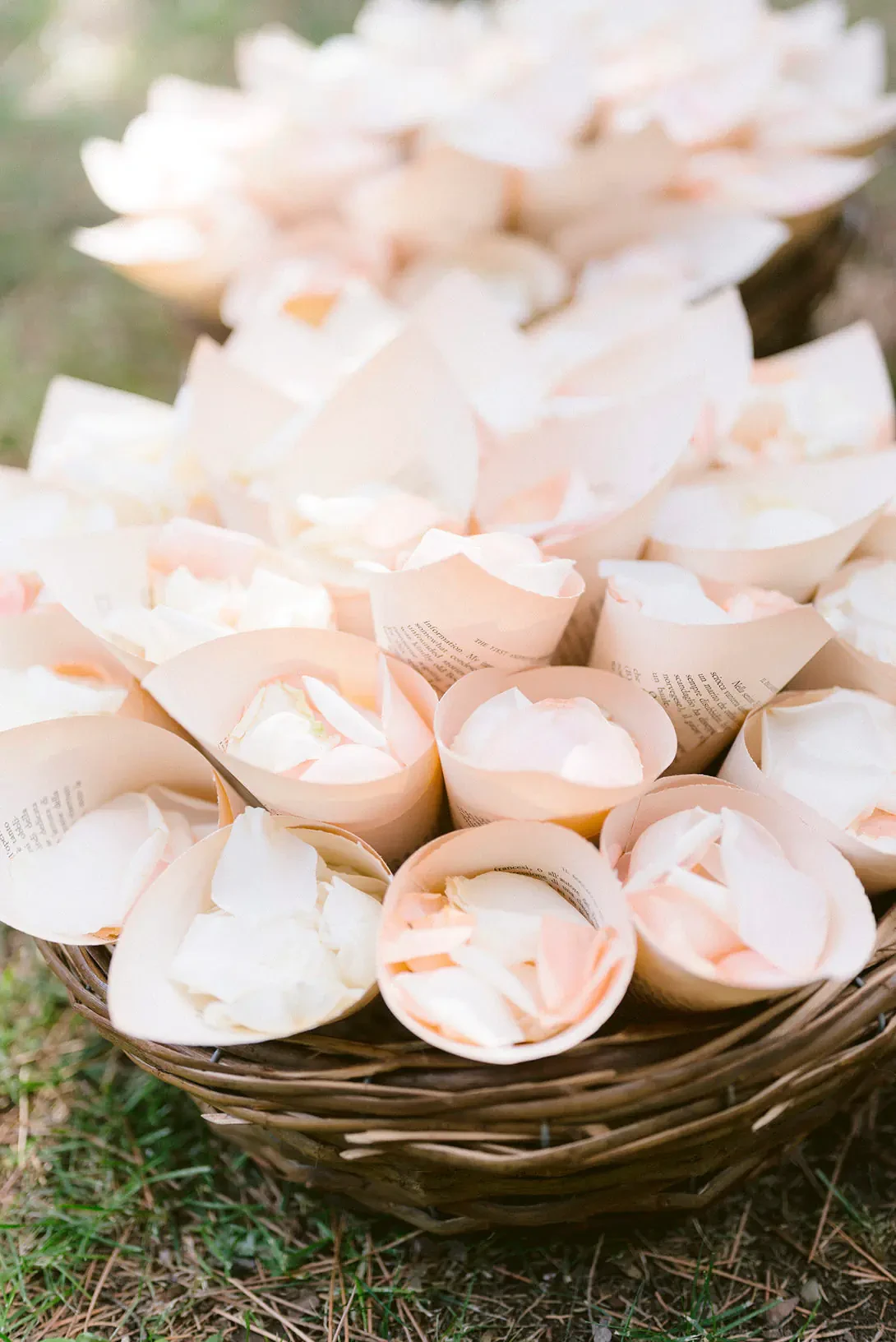 Paper cones with petals
