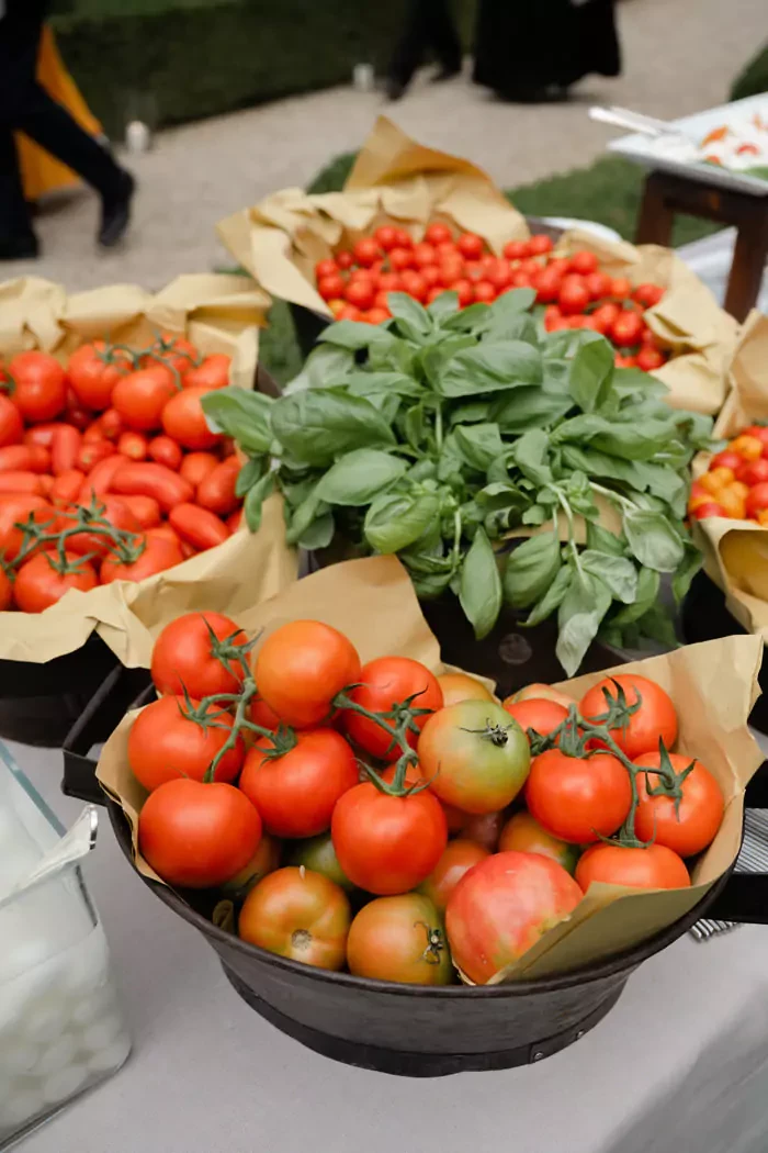 Fresh tomatoes and basil leaves