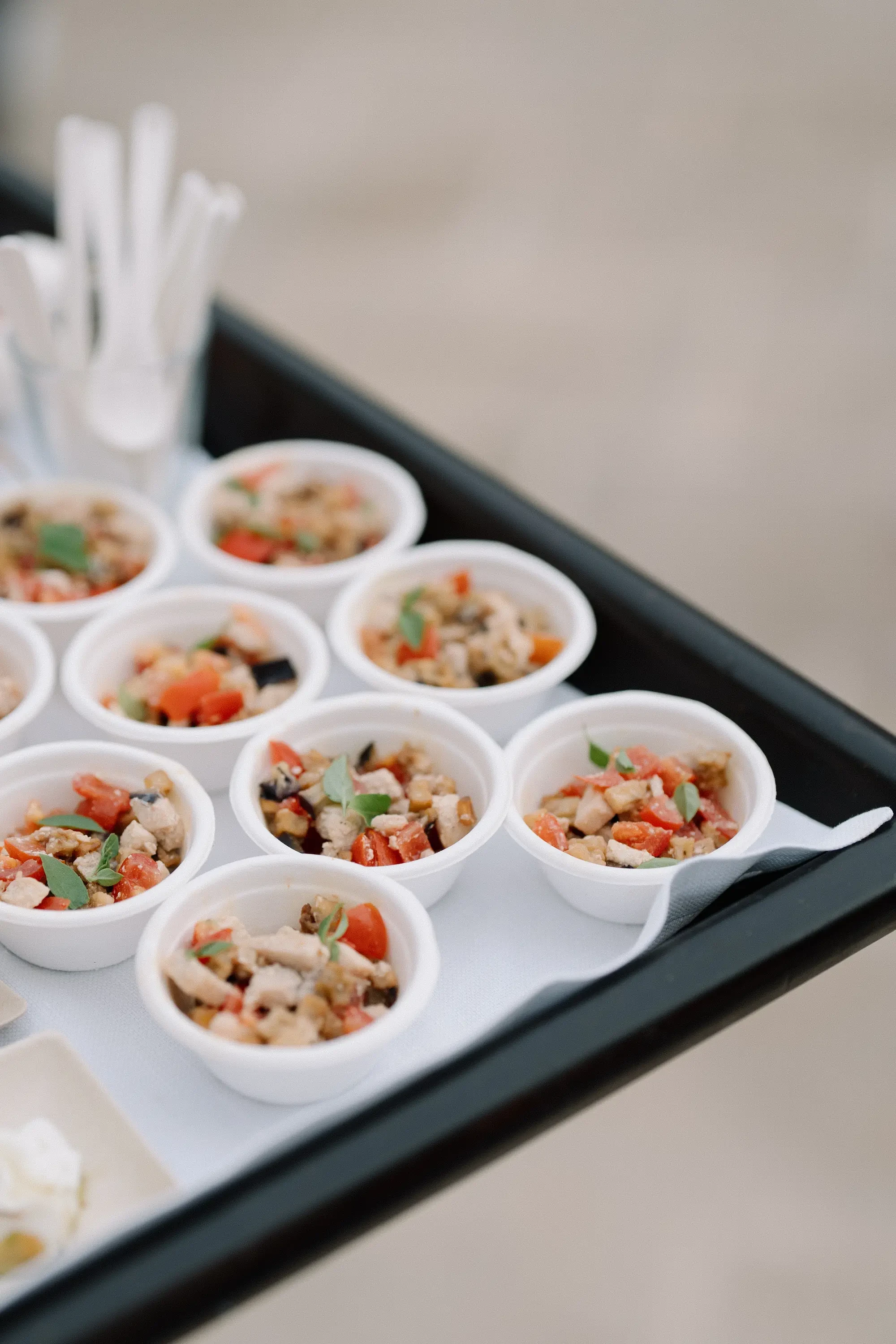 Wedding Catering Gourmet Finger Food Appetizers Detail