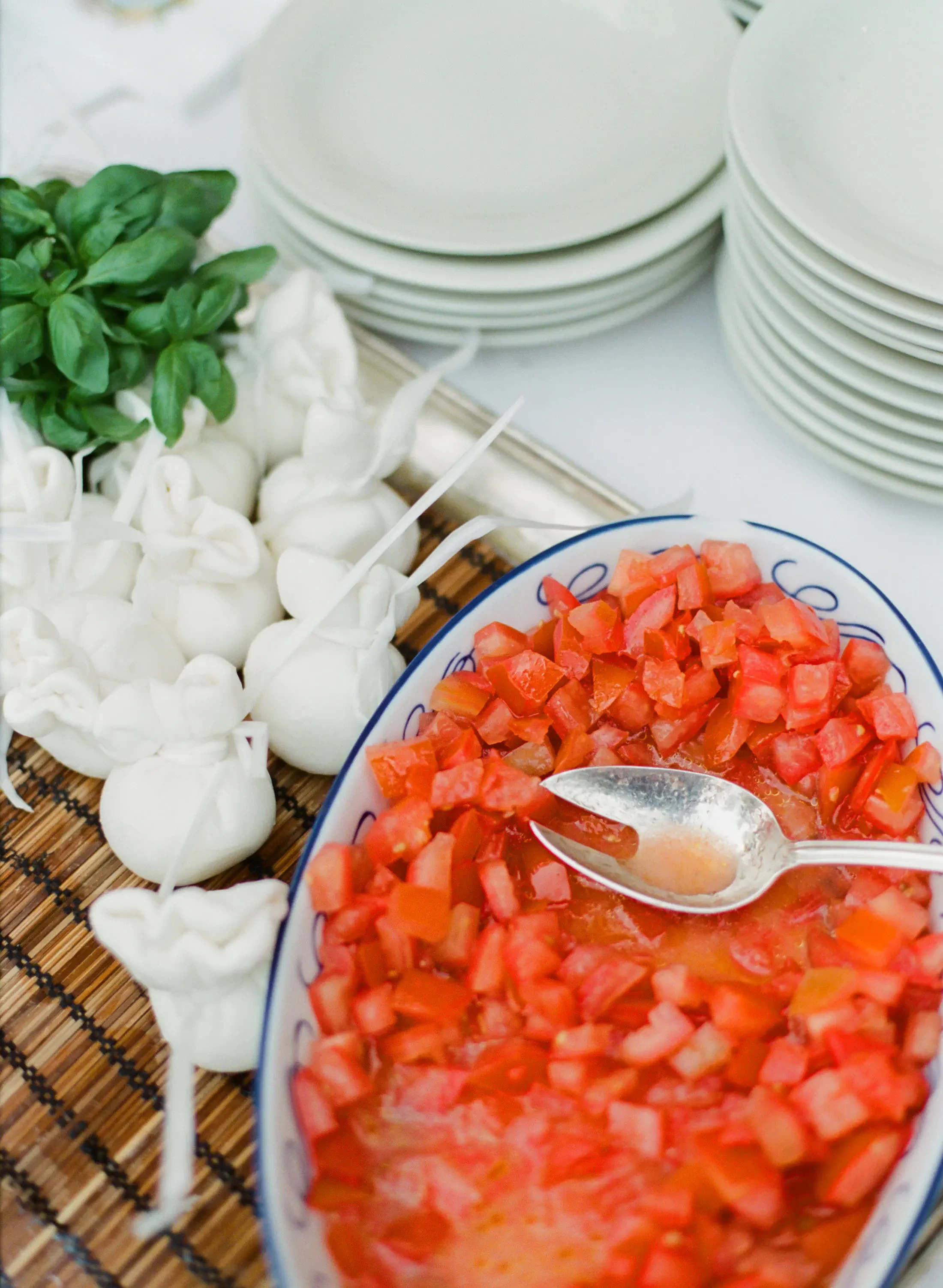 Fresh mozzarella and tomatoes